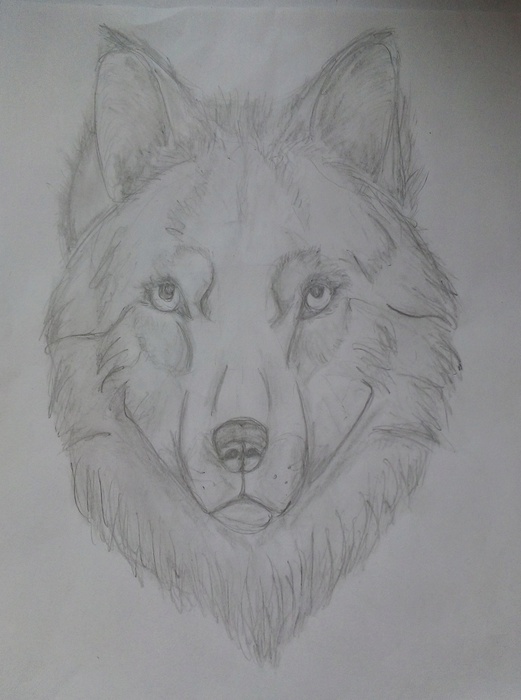 autor: Hirka